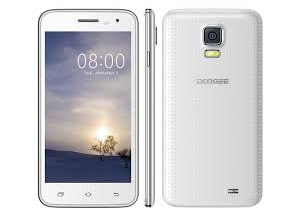 Doogee Voyager DG310